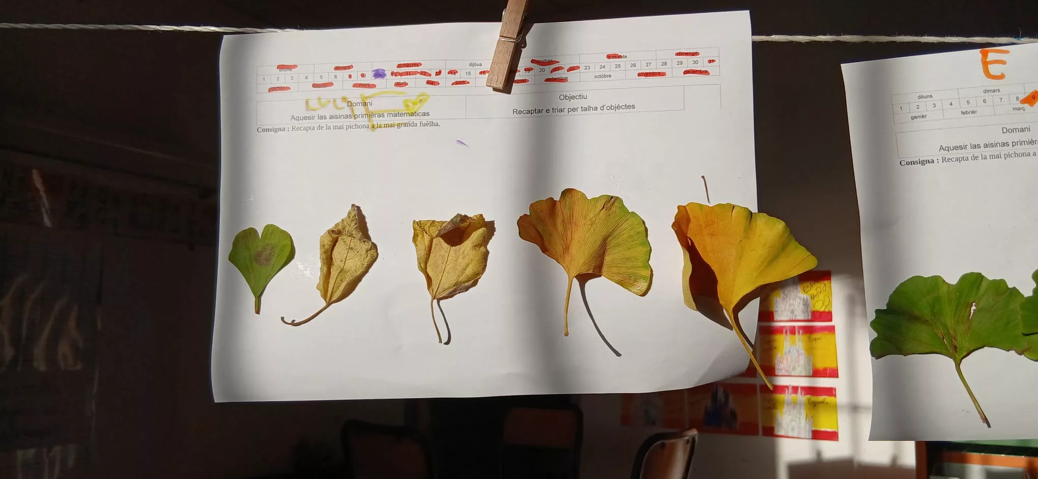 Sortie au parc pour ramasser des feuilles