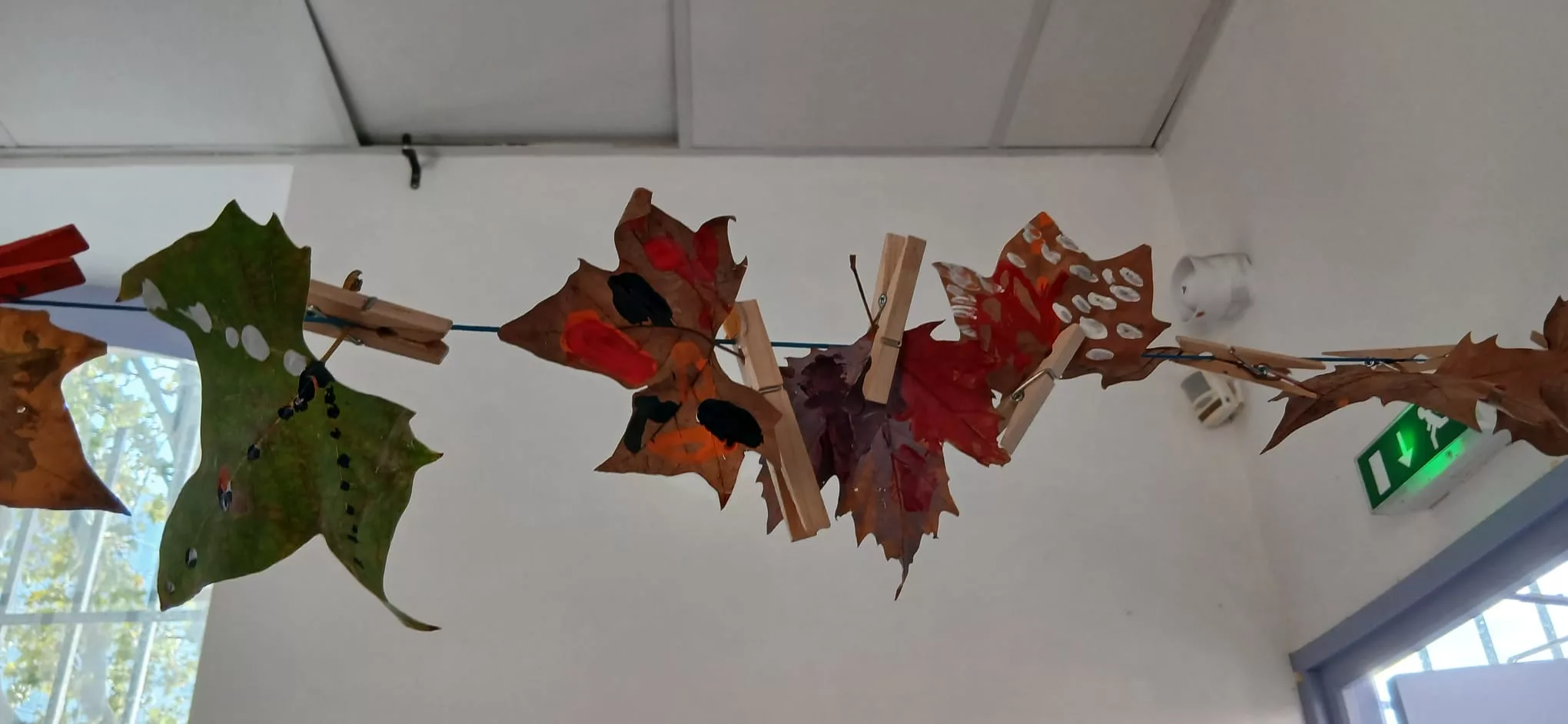 Sortie au parc pour ramasser des feuilles